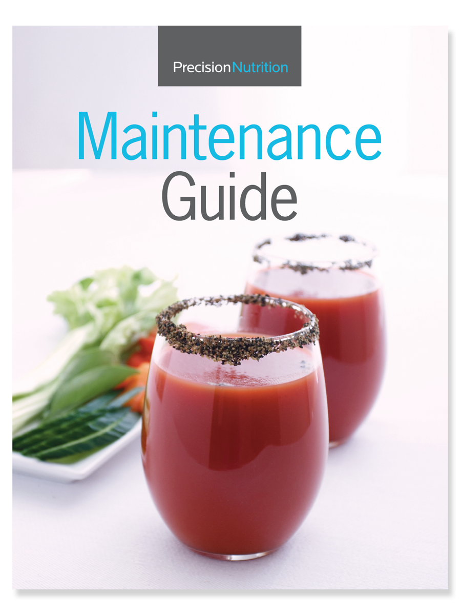 Maintenance Guide